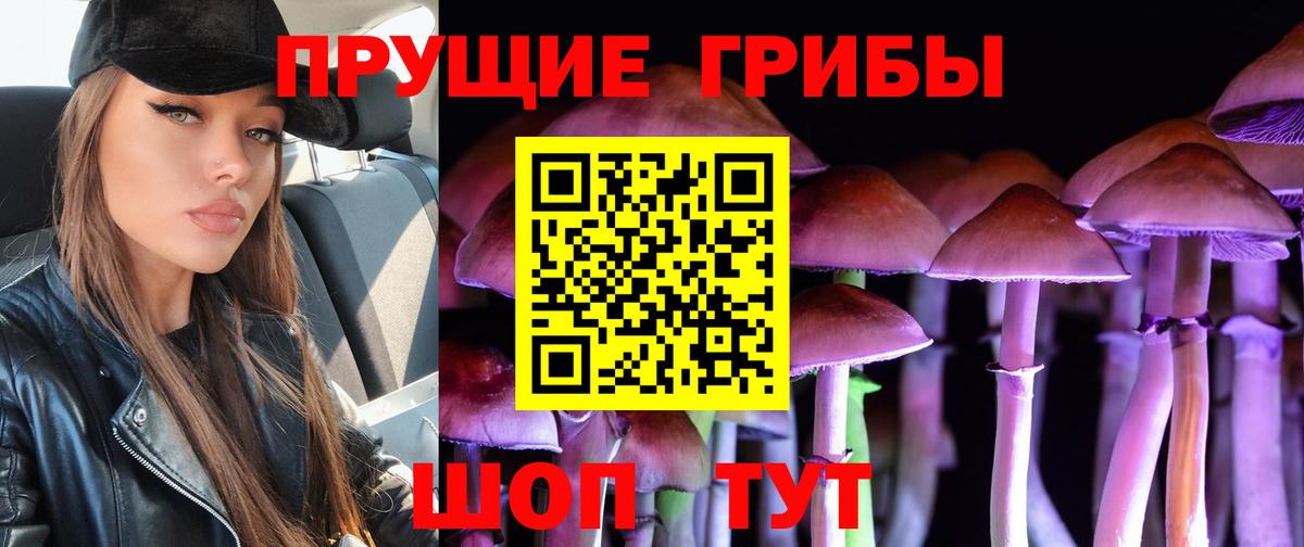 Галлюциногенные грибы Psilocybine cubensis Керчь