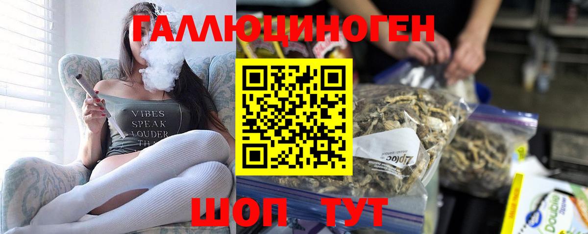 Псилоцибиновые грибы Magic Shrooms  Вход с VPN  Керчь  продажа наркотиков  Псилоцибиновые грибы Magic Shrooms 